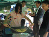 camp23 (169)_samu.gif